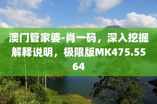 澳门管家婆-肖一码，深入挖掘解释说明，极限版MK475.5564