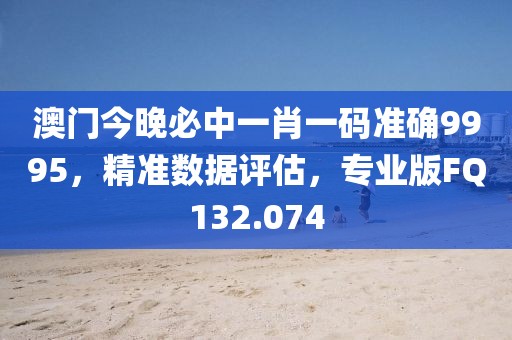 澳门今晚必中一肖一码准确9995，精准数据评估，专业版FQ132.074
