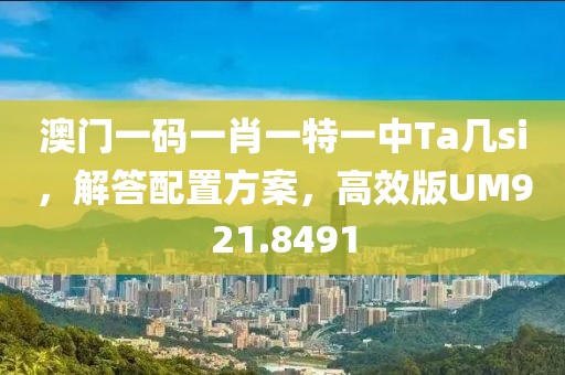 澳门一码一肖一特一中Ta几si，解答配置方案，高效版UM921.8491
