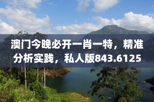 澳门今晚必开一肖一特，精准分析实践，私人版843.6125