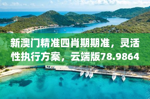 新澳门精准四肖期期准，灵活性执行方案，云端版78.9864