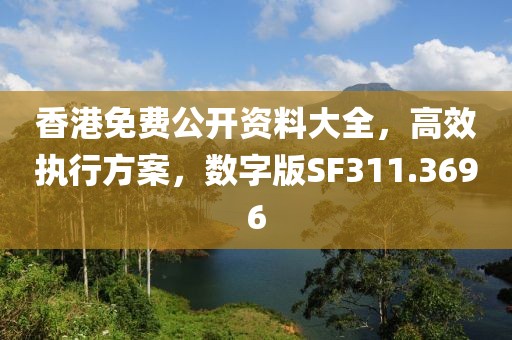 香港免费公开资料大全，高效执行方案，数字版SF311.3696