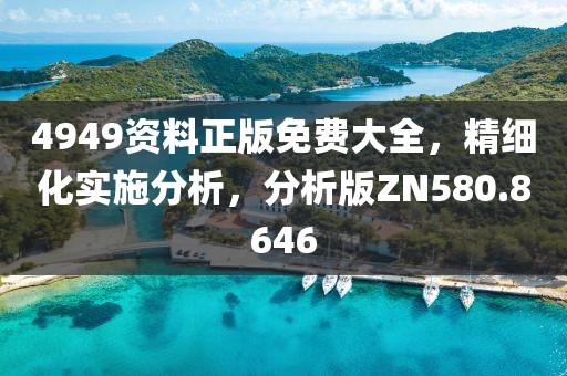 4949资料正版免费大全，精细化实施分析，分析版ZN580.8646