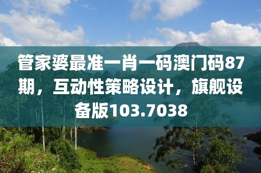 管家婆最准一肖一码澳门码87期，互动性策略设计，旗舰设备版103.7038