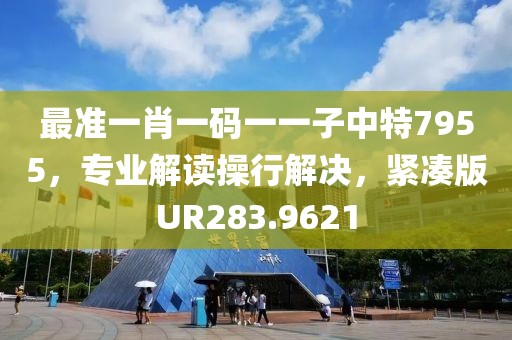 最准一肖一码一一子中特7955，专业解读操行解决，紧凑版UR283.9621