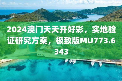 2024澳门天天开好彩，实地验证研究方案，极致版MU773.6343