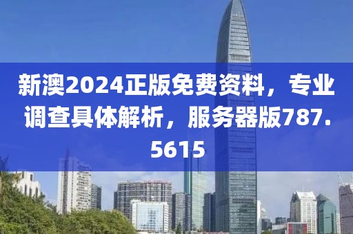 新澳2024正版免费资料，专业调查具体解析，服务器版787.5615