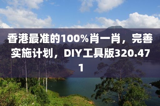 香港最准的100%肖一肖，完善实施计划，DIY工具版320.471