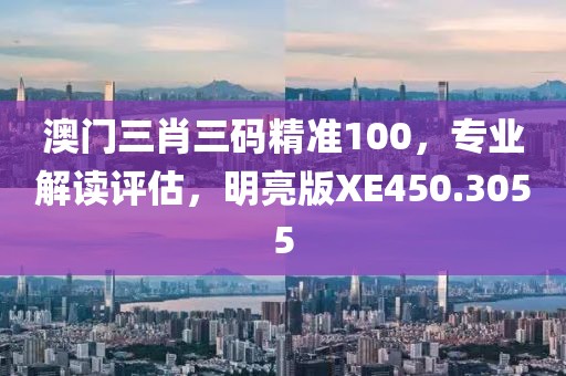 澳门三肖三码精准100，专业解读评估，明亮版XE450.3055