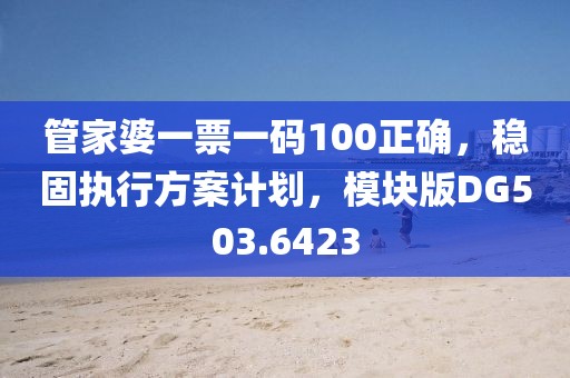 管家婆一票一码100正确，稳固执行方案计划，模块版DG503.6423