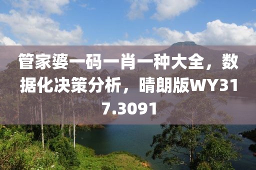管家婆一码一肖一种大全，数据化决策分析，晴朗版WY317.3091