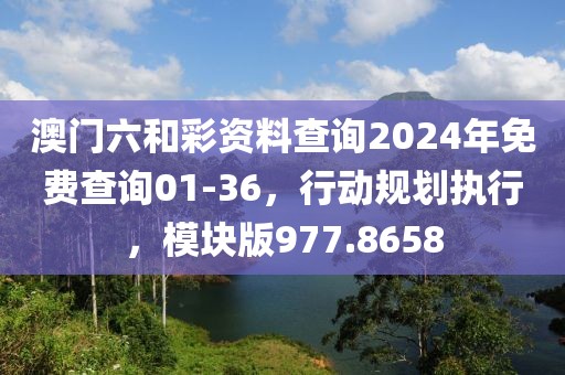 澳门六和彩资料查询2024年免费查询01-36，行动规划执行，模块版977.8658