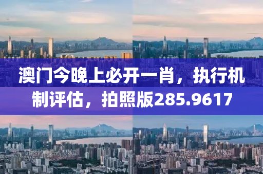 澳门今晚上必开一肖，执行机制评估，拍照版285.9617