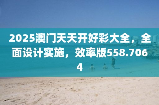2025澳门天天开好彩大全，全面设计实施，效率版558.7064