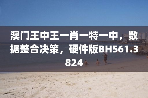 澳门王中王一肖一特一中，数据整合决策，硬件版BH561.3824