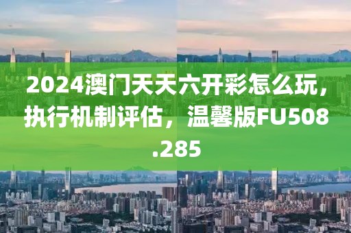 2024澳门天天六开彩怎么玩，执行机制评估，温馨版FU508.285