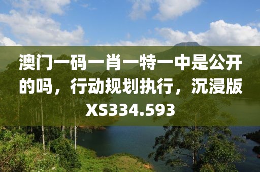 澳门一码一肖一特一中是公开的吗，行动规划执行，沉浸版XS334.593
