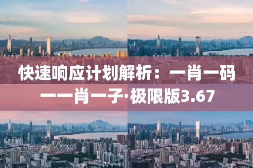 快速响应计划解析：一肖一码一一肖一子·极限版3.67