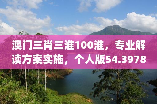 澳门三肖三淮100淮，专业解读方案实施，个人版54.3978
