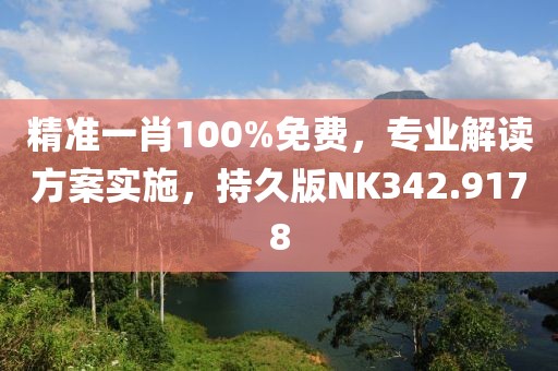 精准一肖100%免费，专业解读方案实施，持久版NK342.9178