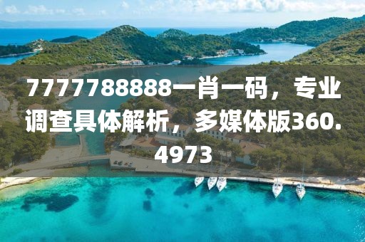 7777788888一肖一码，专业调查具体解析，多媒体版360.4973