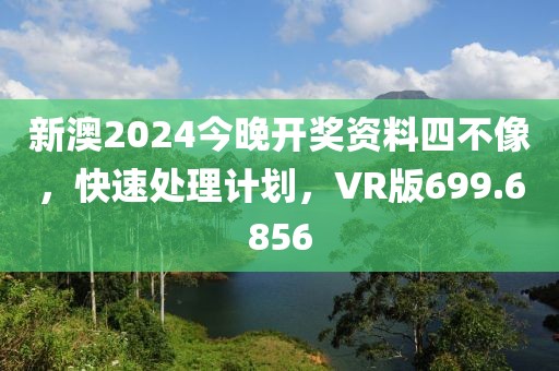 新澳2024今晚开奖资料四不像，快速处理计划，VR版699.6856