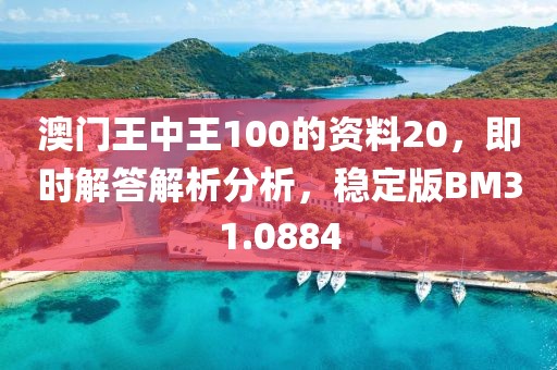 澳门王中王100的资料20，即时解答解析分析，稳定版BM31.0884