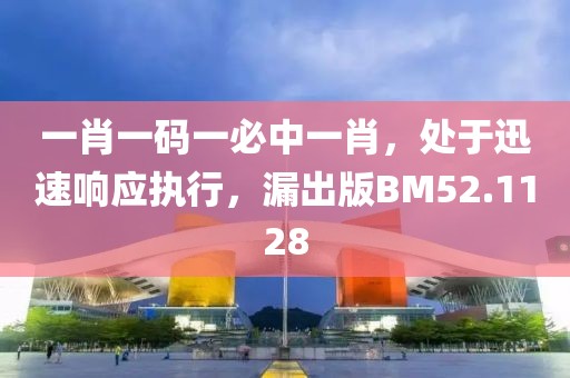 一肖一码一必中一肖，处于迅速响应执行，漏出版BM52.1128