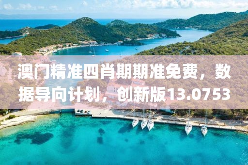 澳门精准四肖期期准免费，数据导向计划，创新版13.0753