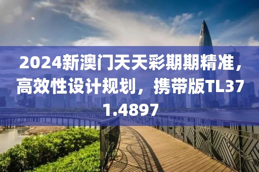 2024新澳门天天彩期期精准，高效性设计规划，携带版TL371.4897