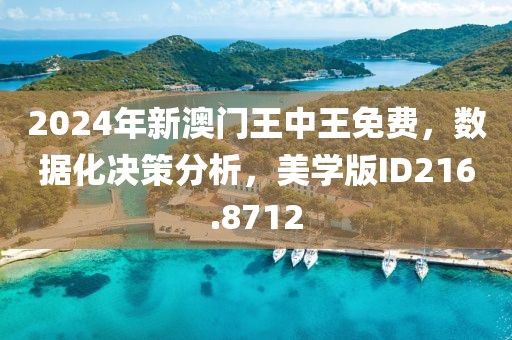 2024年新澳门王中王免费，数据化决策分析，美学版ID216.8712