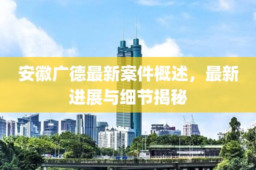 安徽广德最新案件概述，最新进展与细节揭秘