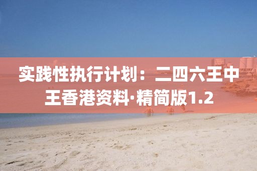 实践性执行计划：二四六王中王香港资料·精简版1.2