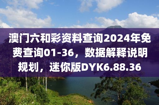 澳门六和彩资料查询2024年免费查询01-36，数据解释说明规划，迷你版DYK6.88.36