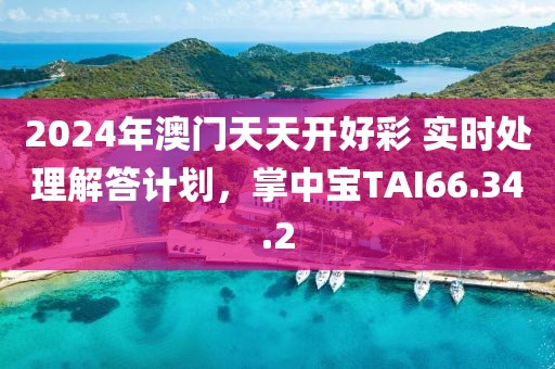 2024年澳门天天开好彩 实时处理解答计划，掌中宝TAI66.34.2