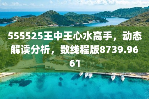 555525王中王心水高手，动态解读分析，数线程版8739.9661
