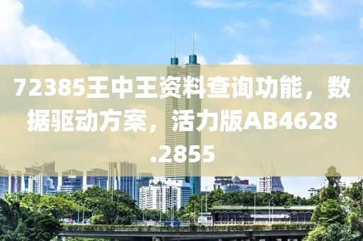 72385王中王资料查询功能，数据驱动方案，活力版AB4628.2855