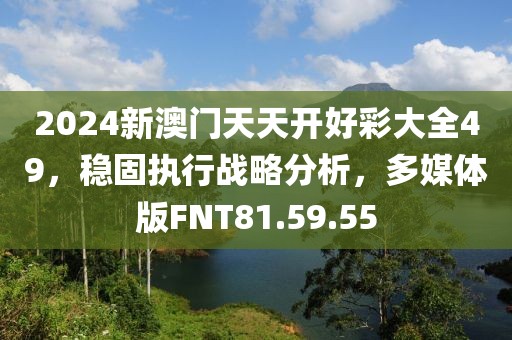 2024新澳门天天开好彩大全49，稳固执行战略分析，多媒体版FNT81.59.55