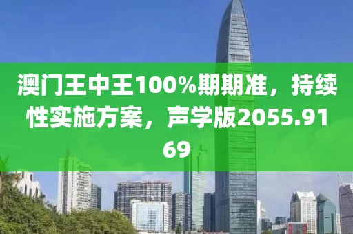澳门王中王100%期期准，持续性实施方案，声学版2055.9169
