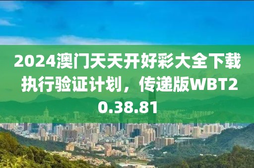2024澳门天天开好彩大全下载 执行验证计划，传递版WBT20.38.81