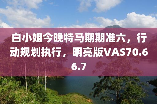 白小姐今晚特马期期准六，行动规划执行，明亮版VAS70.66.7