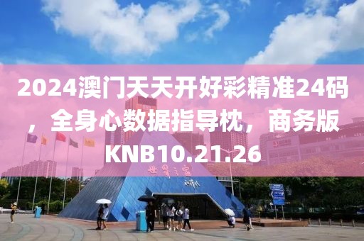 2024澳门天天开好彩精准24码，全身心数据指导枕，商务版KNB10.21.26