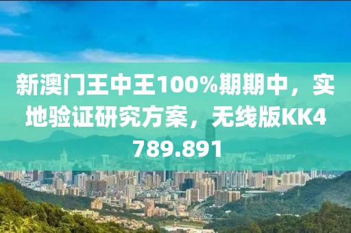 新澳门王中王100%期期中，实地验证研究方案，无线版KK4789.891