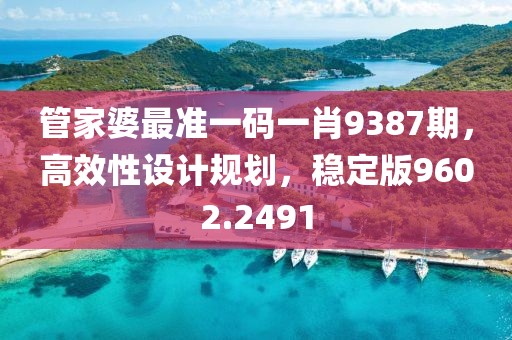 管家婆最准一码一肖9387期，高效性设计规划，稳定版9602.2491