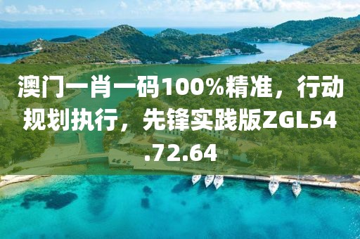 澳门一肖一码100%精准，行动规划执行，先锋实践版ZGL54.72.64