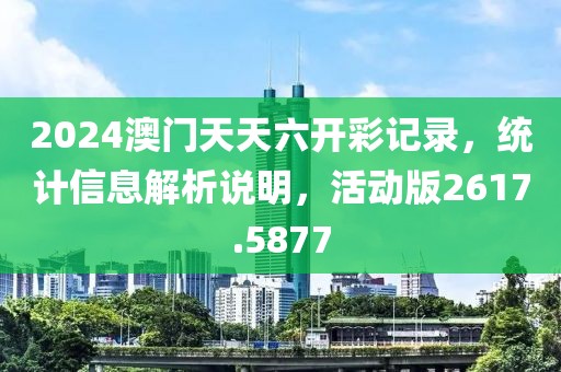 2024澳门天天六开彩记录，统计信息解析说明，活动版2617.5877