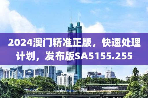2024澳门精准正版，快速处理计划，发布版SA5155.255