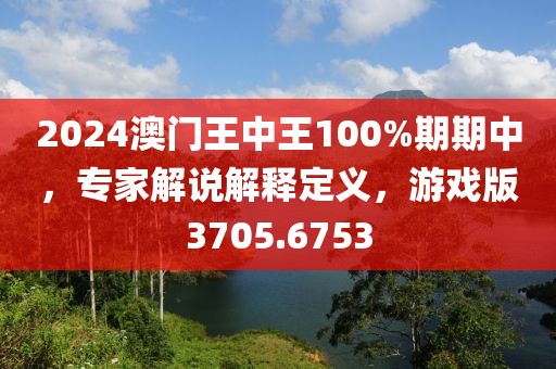 2024澳门王中王100%期期中，专家解说解释定义，游戏版3705.6753