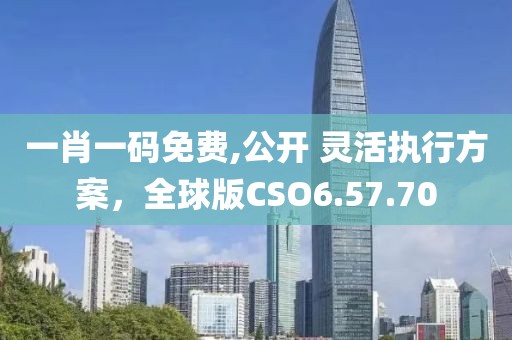 一肖一码免费,公开 灵活执行方案，全球版CSO6.57.70