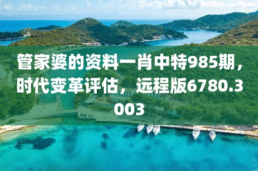 管家婆的资料一肖中特985期，时代变革评估，远程版6780.3003